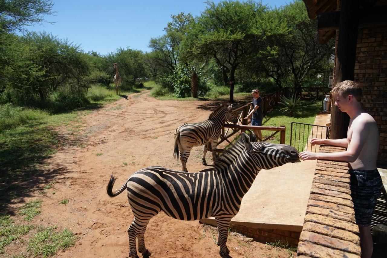 Giraffe Plains Villa Marloth Park Ngoại thất bức ảnh