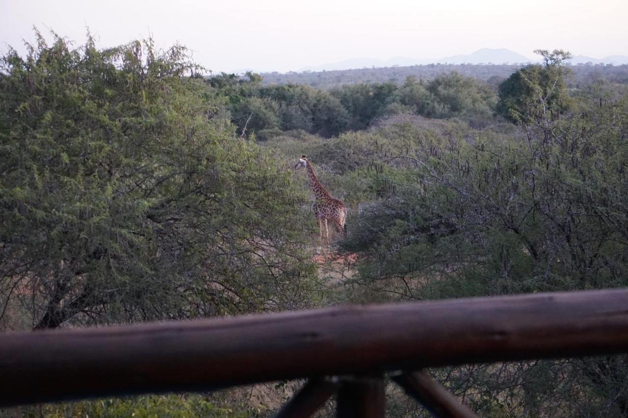 Giraffe Plains Villa Marloth Park Ngoại thất bức ảnh