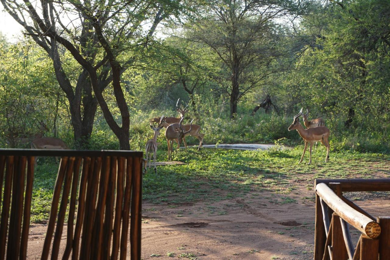 Giraffe Plains Villa Marloth Park Ngoại thất bức ảnh