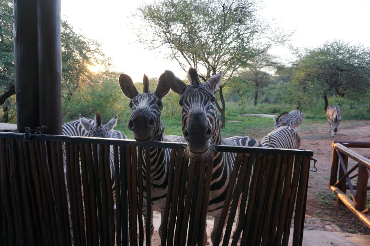 Giraffe Plains Villa Marloth Park Ngoại thất bức ảnh