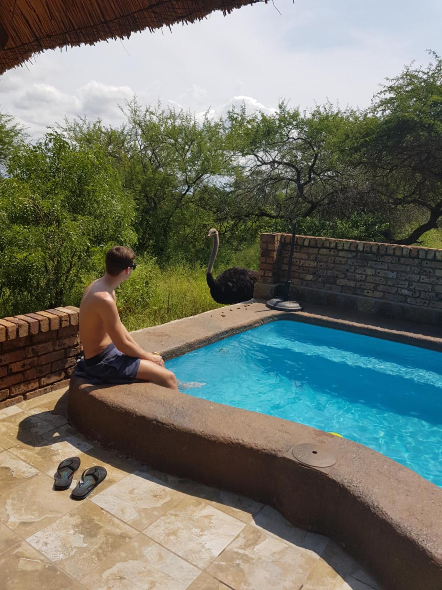 Giraffe Plains Villa Marloth Park Ngoại thất bức ảnh